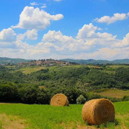 Вилла Villa In San Venanzo With Pool And Sauna