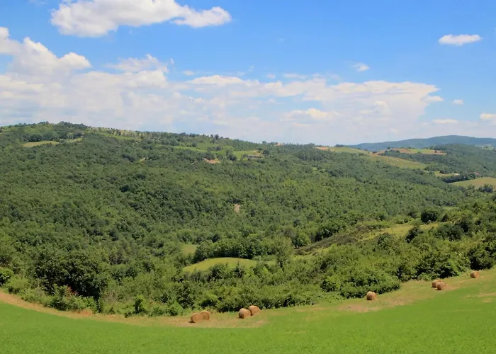 In With Pool And Sauna